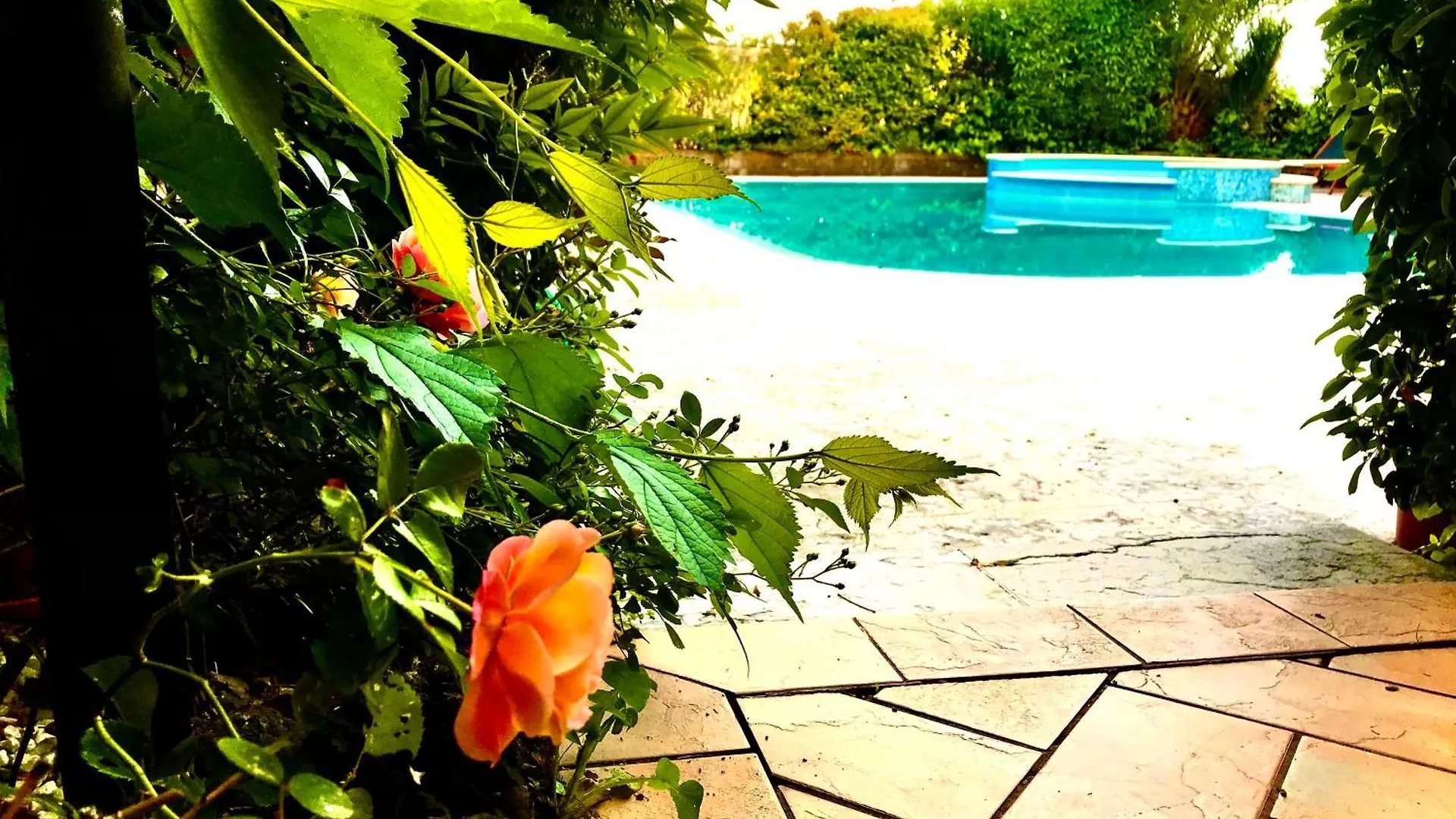 Villa Maria Apartments Moniga del Garda 0*,